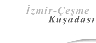 Izmir